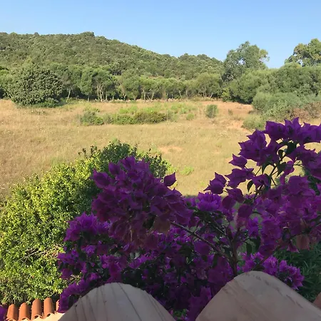 Pinnetta Cala Bitta * Baja Sardinia