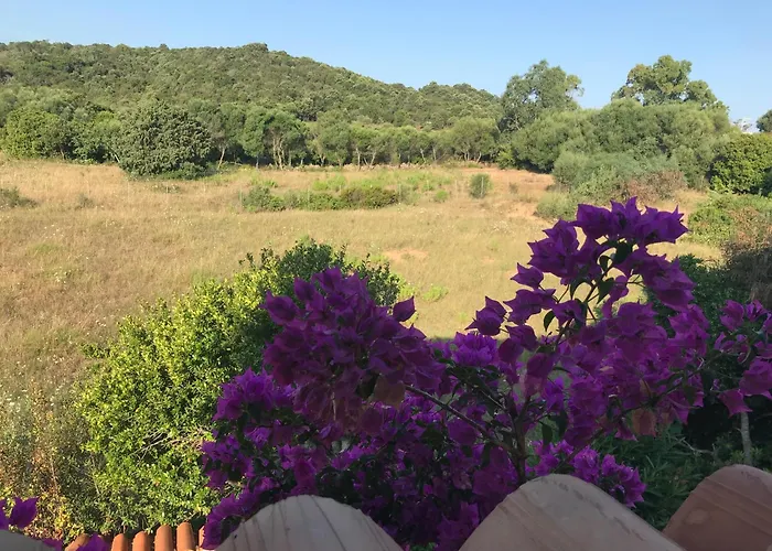 Pinnetta Cala Bitta * Baja Cerdeña